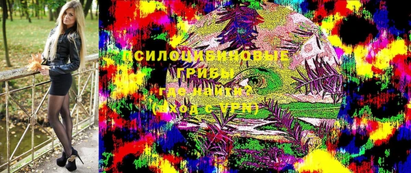 мет Корсаков