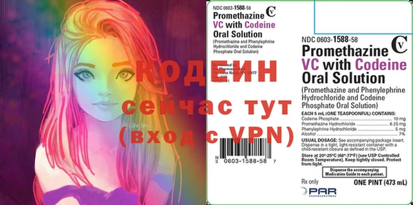 мет Корсаков